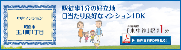昭島市玉川町1丁目ベルコート東中神